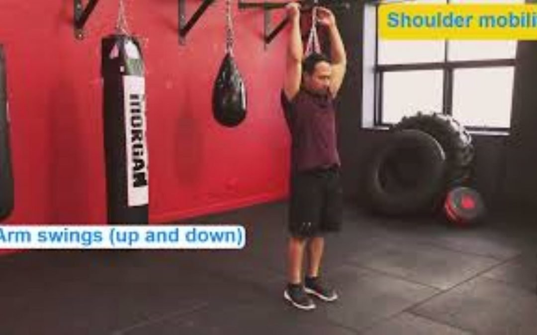 Shoulders swings (up and down)