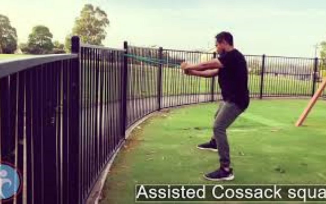 Assisted Cossack squats